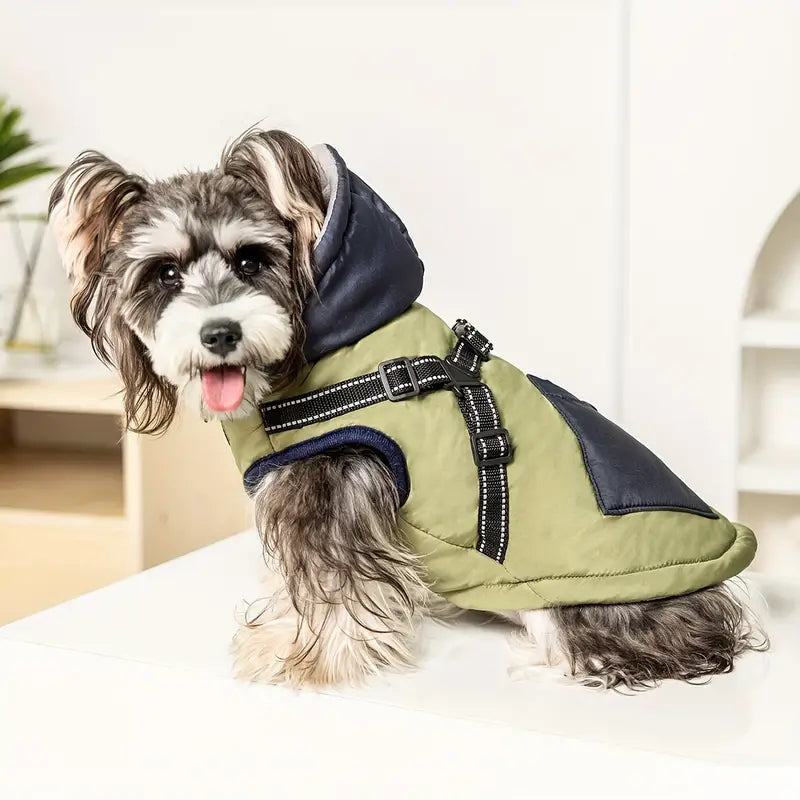 Misty Hundemantel