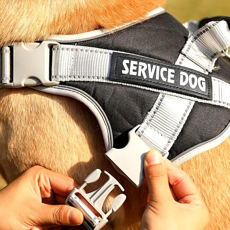 Hans Hundeleine mit Geschirr-Set für Assistenzhunde