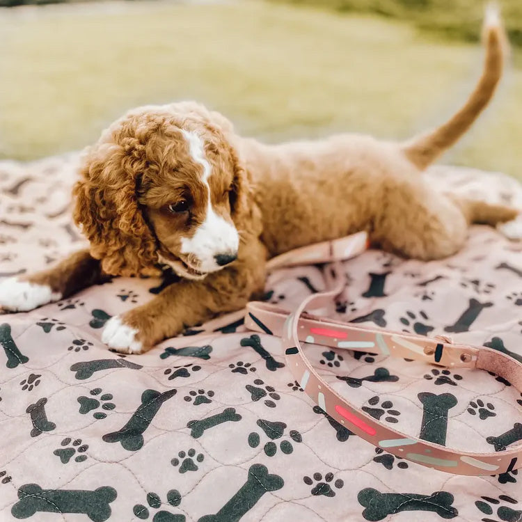 Antje Saugfähige Pinkelmatte