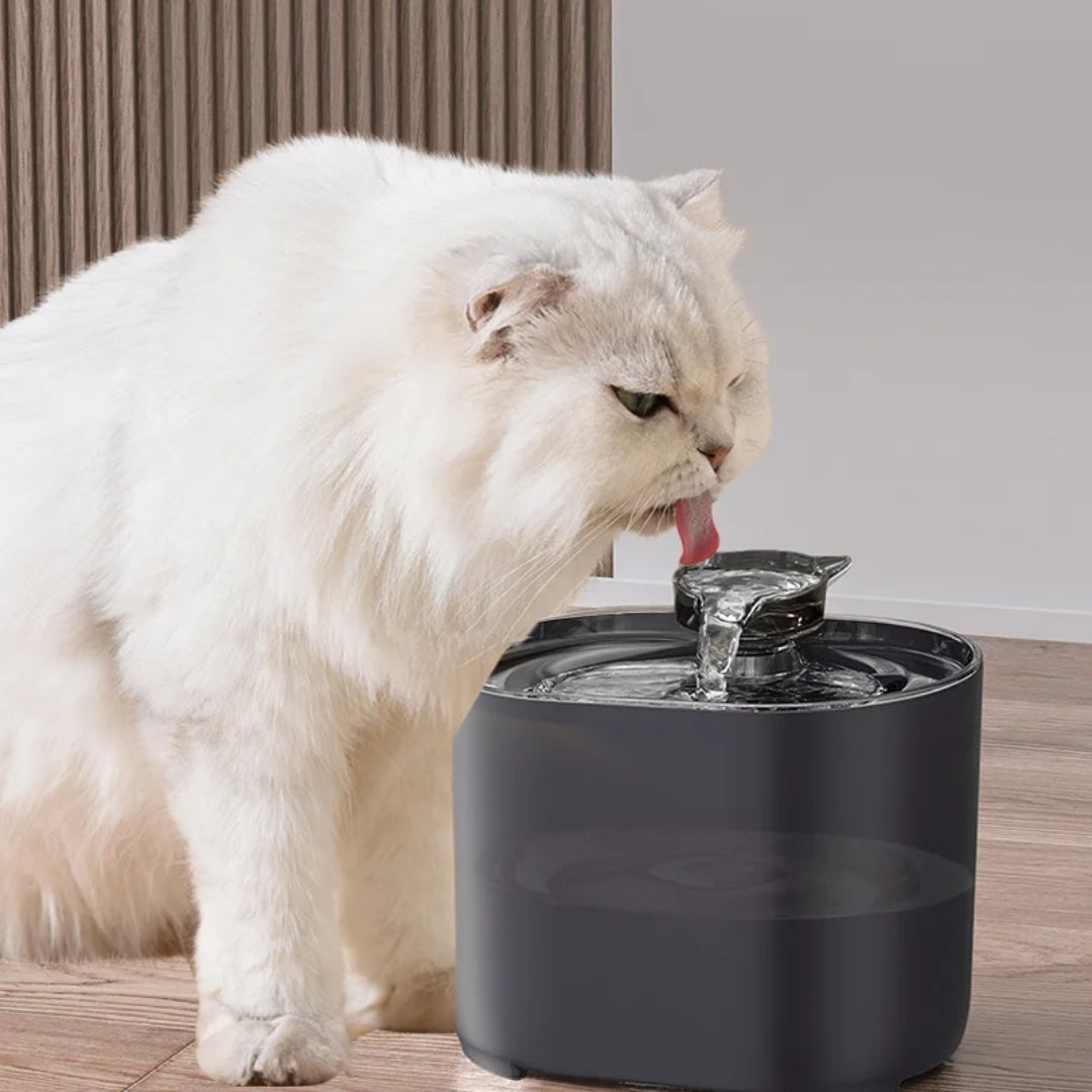 Poppy Leiser Trinkbrunnen für Haustiere