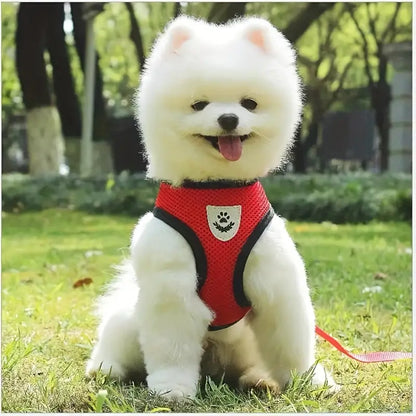 Tobi | Atmungsaktives Geschirr für Haustiere