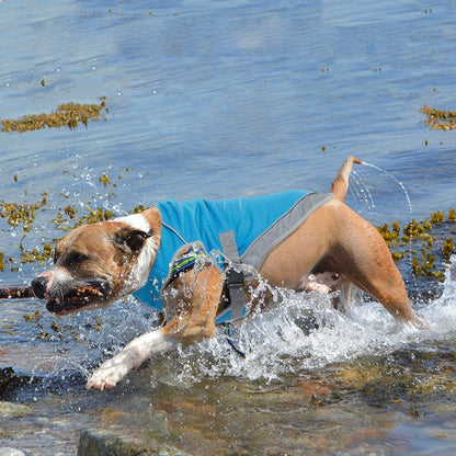 Zarko | Kühlweste für Hunde