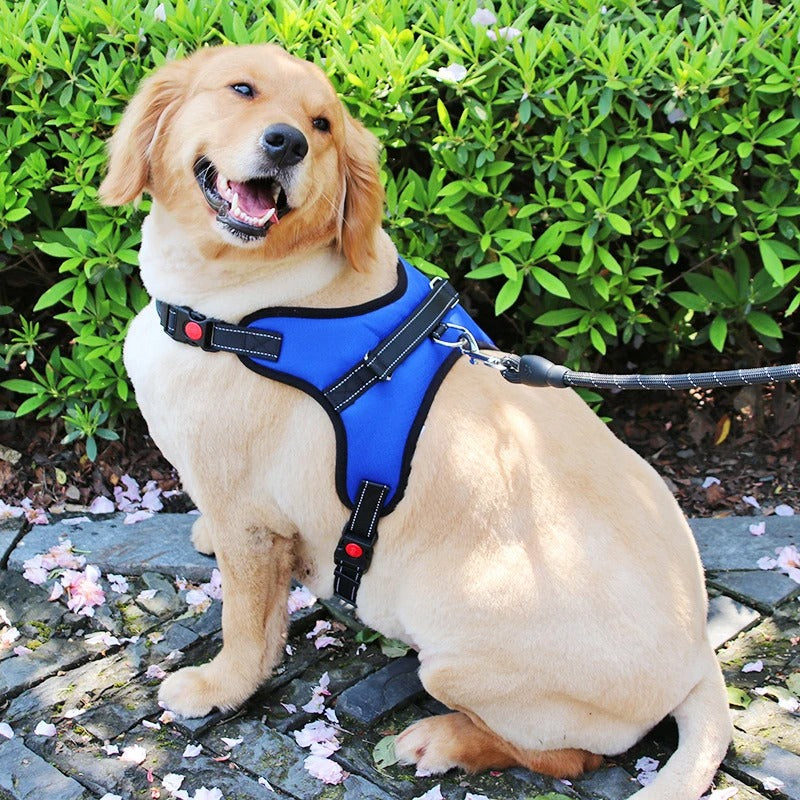 Noah Atmungsaktives Anti-Zug Hundegeschirr