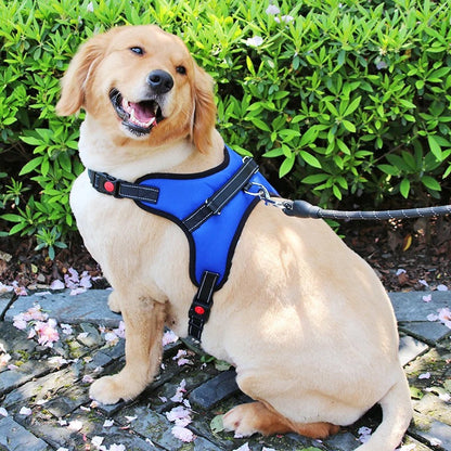 Noah Atmungsaktives Anti-Zug Hundegeschirr