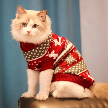 Blaze Gestrickter Pullover für Katzen