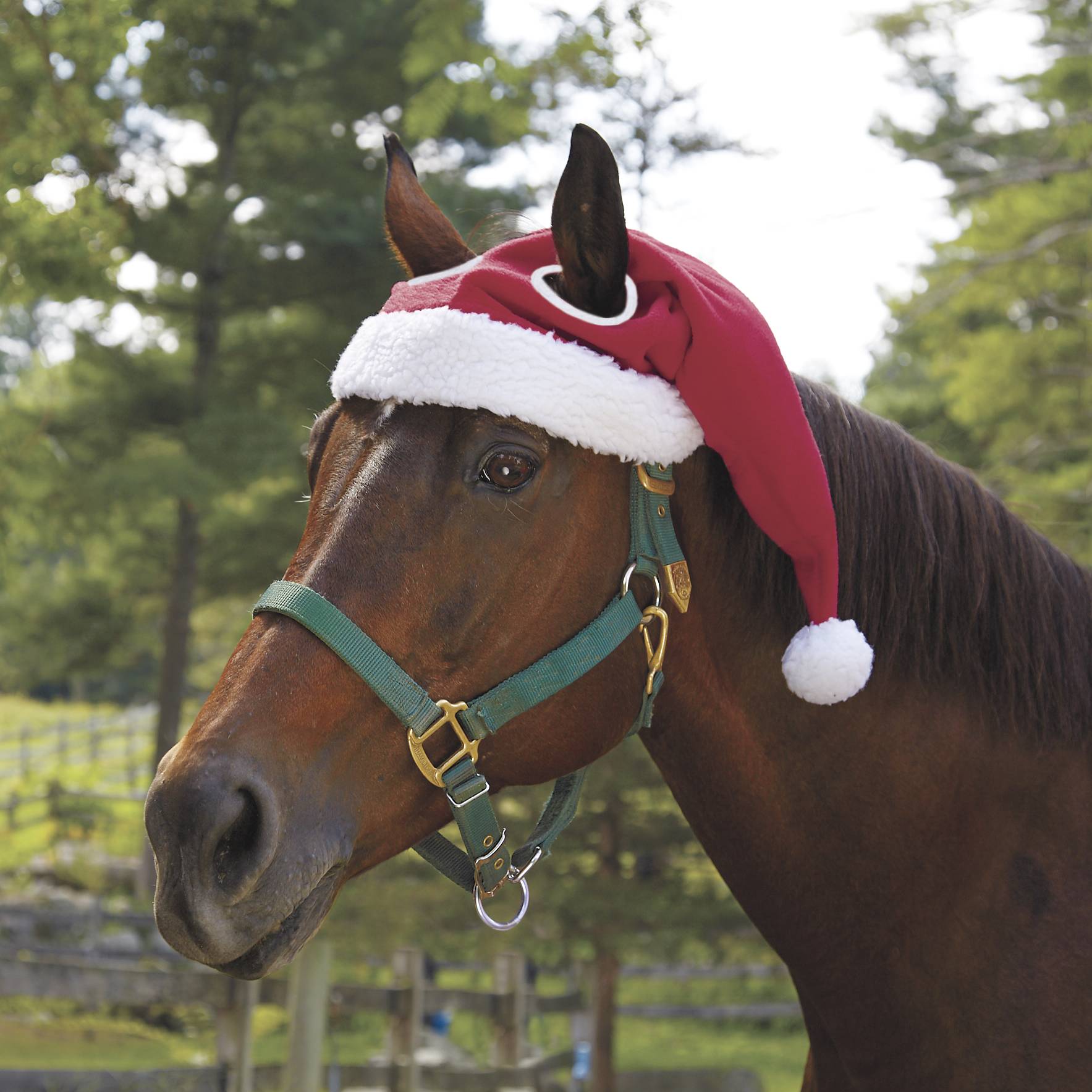 Jingle Weihnachtsmütze