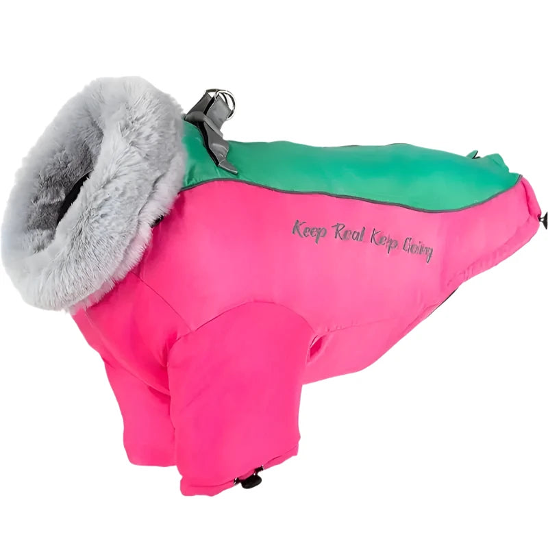 Kuno Hundejacke mit Kragen