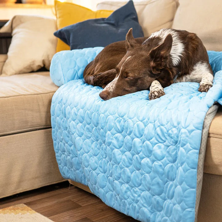 Drizzle Waschbares Hundebett mit Kühlmatte