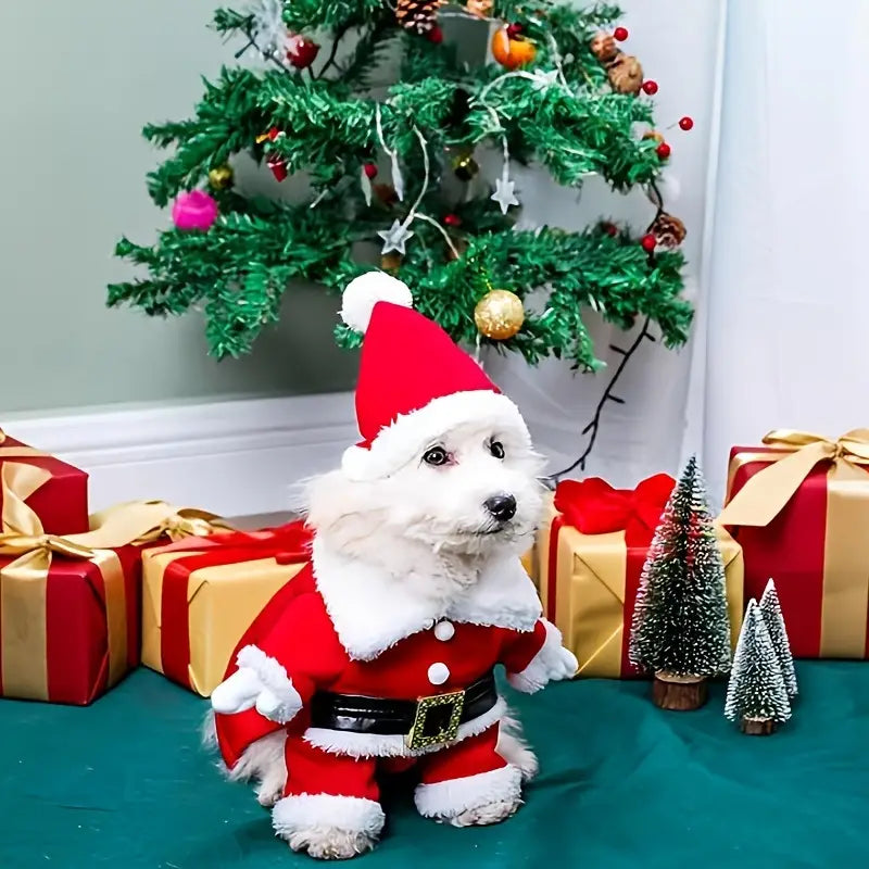 Starry Weihnachtsmann-Hundekostüm