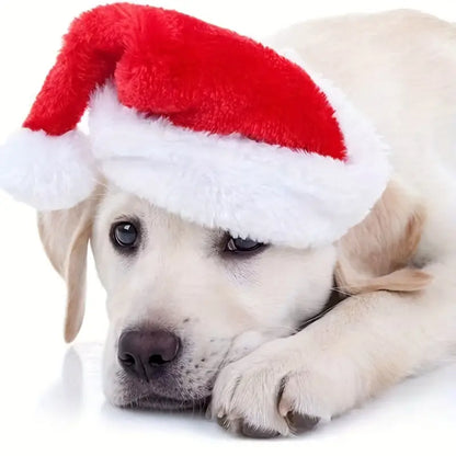 Emmi Weihnachtsmütze für Hunde