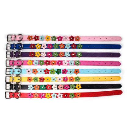 Angie | Stilvolles und sicheres Halsband für Hunde und Katzen