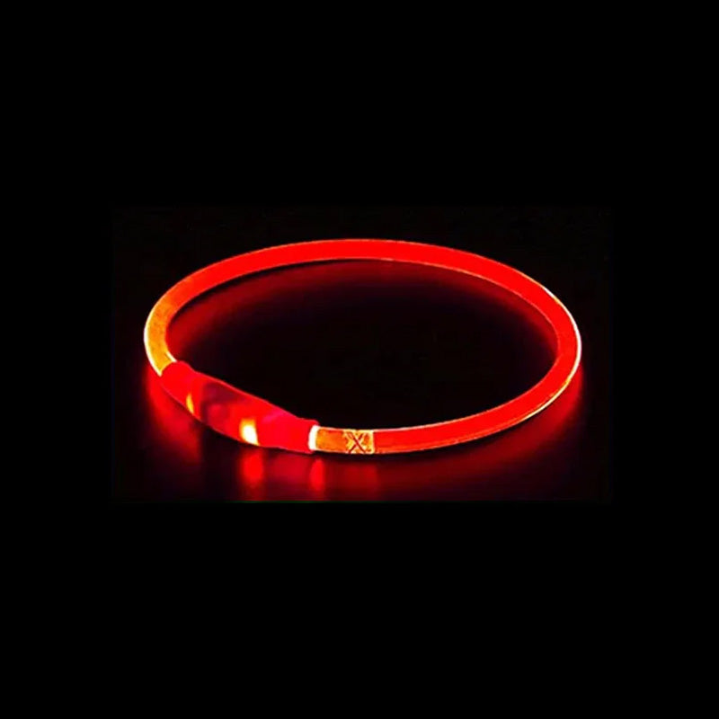 Leopold LED-Hundehalsband in Farben