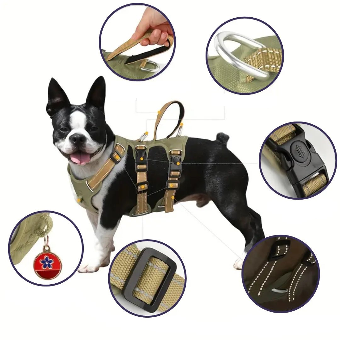 Georg Hunde Geschirr mit reflektierenden Details