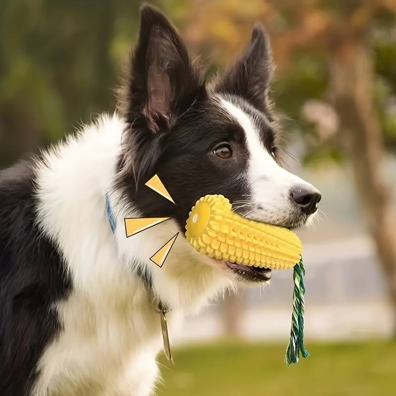 Stella | Kauspielzeug für Aktive Hunde