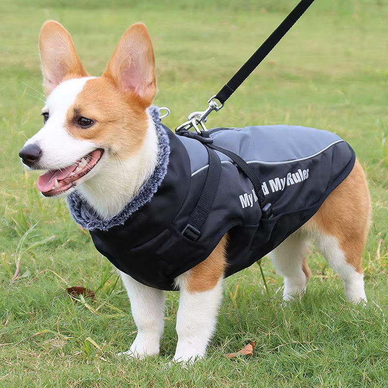 Freya Wasserdichter Hundemantel