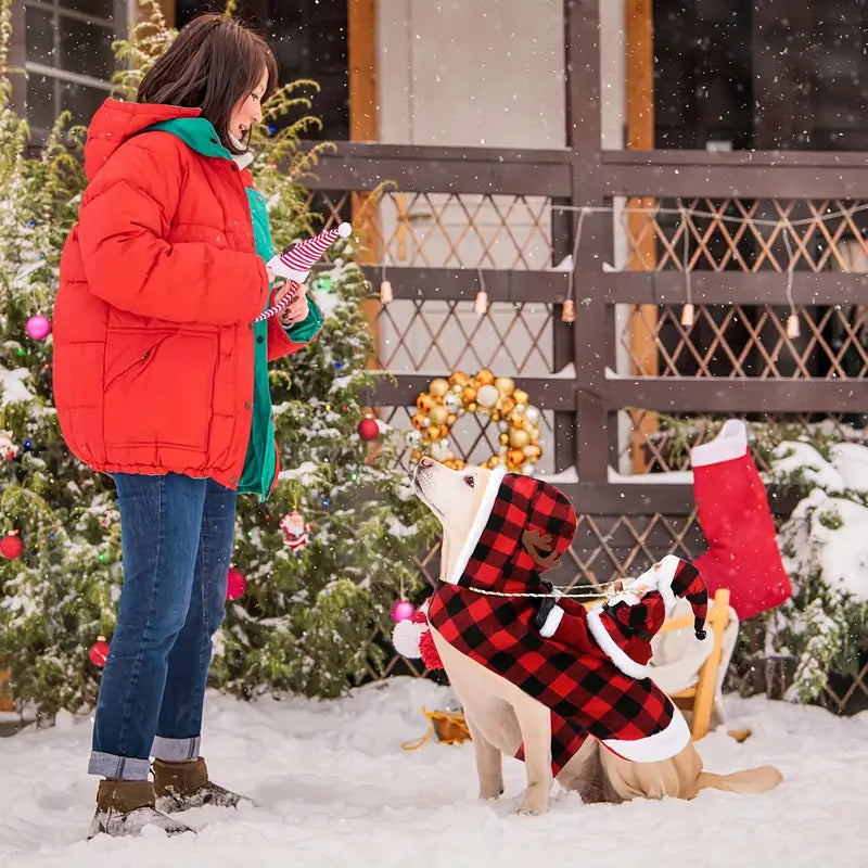 Funke Weihnachtsoutfit für Hunde