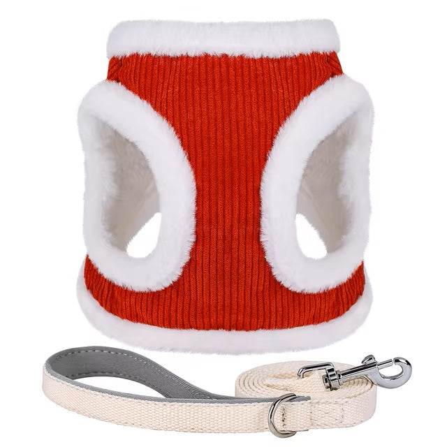 Susi | Erhalte einen Gürtel kostenlos im Wert von 14,95 € dazu