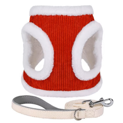 Susi | Erhalte einen Gürtel kostenlos im Wert von 14,95 € dazu