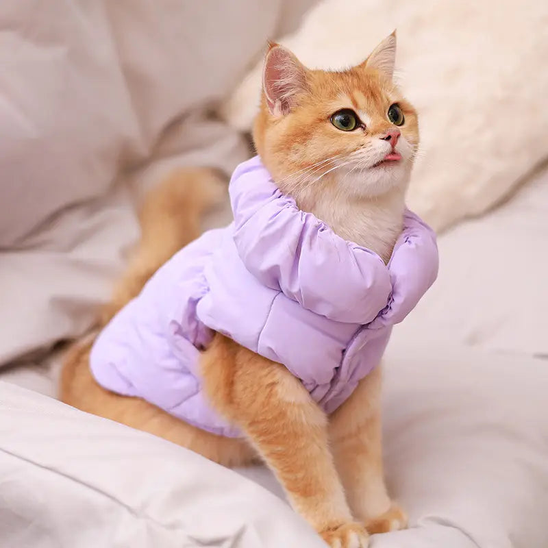 Marie Winter Hundemantel