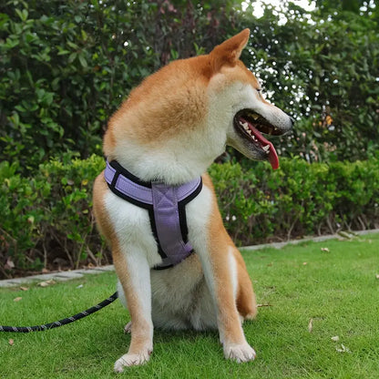Ulla Hundegeschirr Sicheres und bequemes 