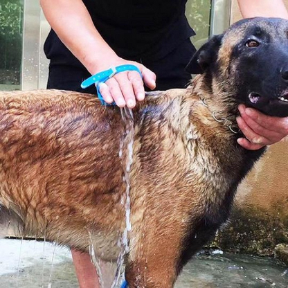 Hektor | Duschkopf für Hunde mit Massageeffekt-5