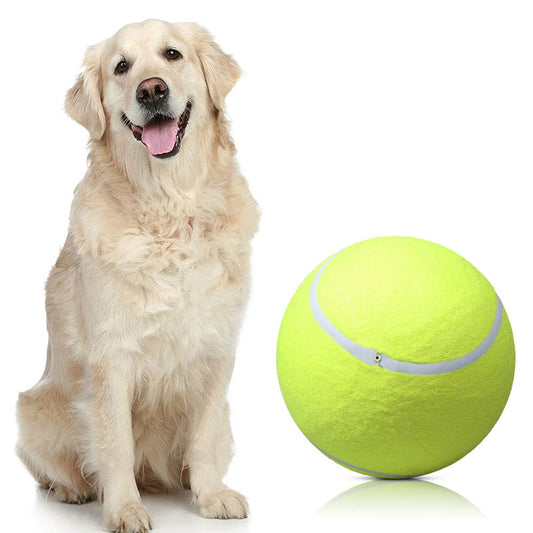 Remko | Der Spielball für Hunde