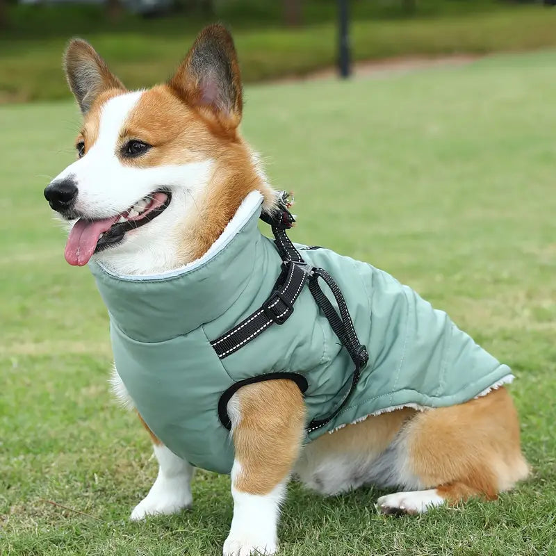 Elia Wasserdichte Hundejacke