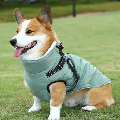 Elia Wasserdichte Hundejacke