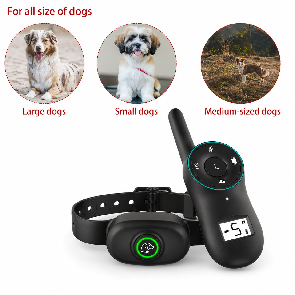 Miro | Hundetrainingshalsband wasserdicht mit Fernbedienung 400m