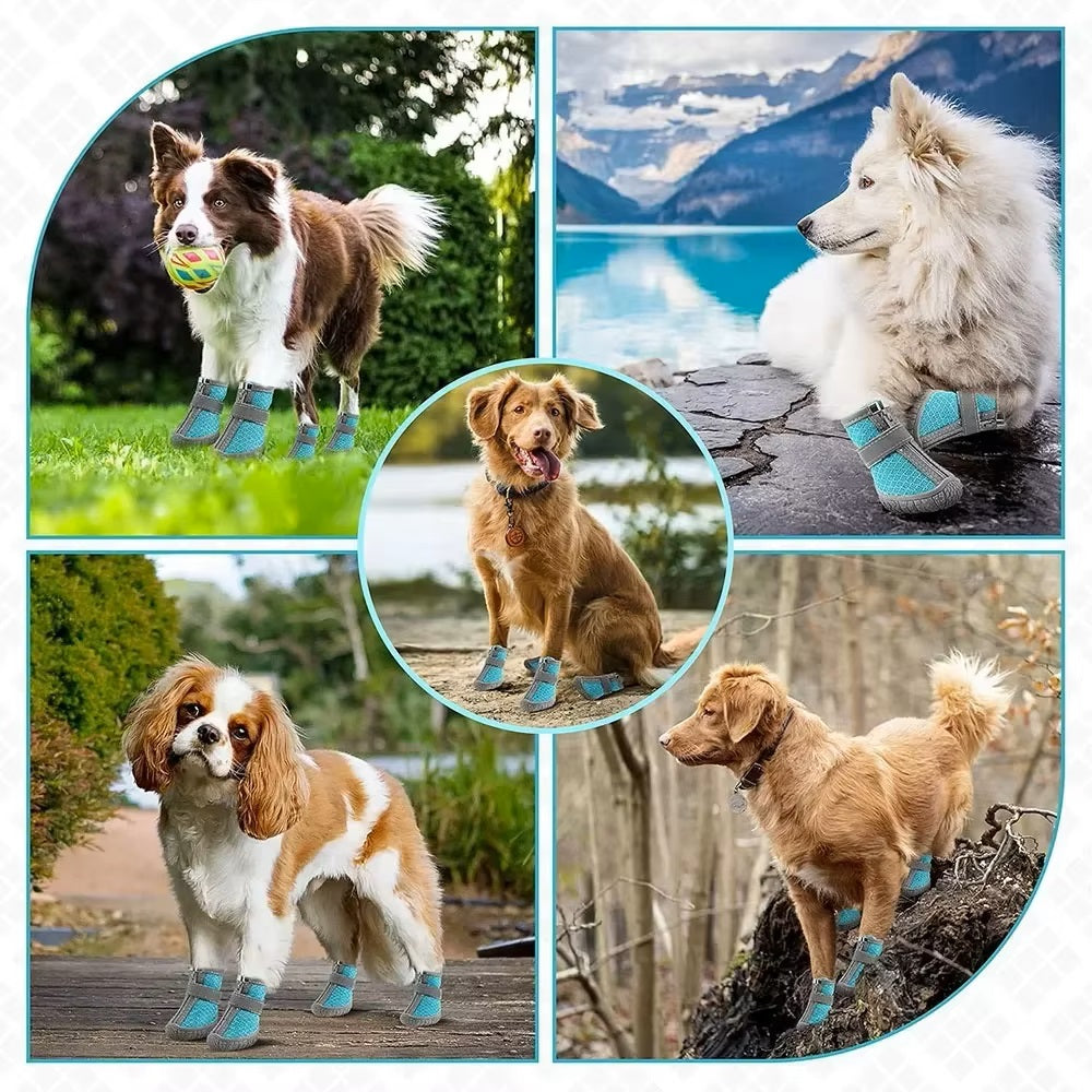 Laura | Wasserdichte Hundeschuhe