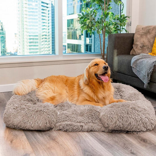 Lambert Komfort Schlafbett Hunde