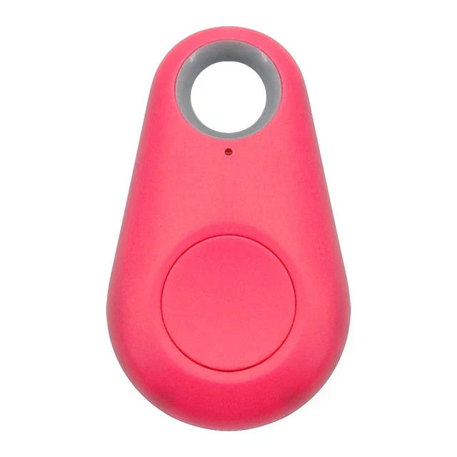 Rexi | GPS-Tracker für Haustiere mit Echtzeit-Ortung und Benachrichtigungen