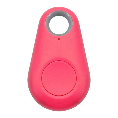 Rexi | GPS-Tracker für Haustiere mit Echtzeit-Ortung und Benachrichtigungen