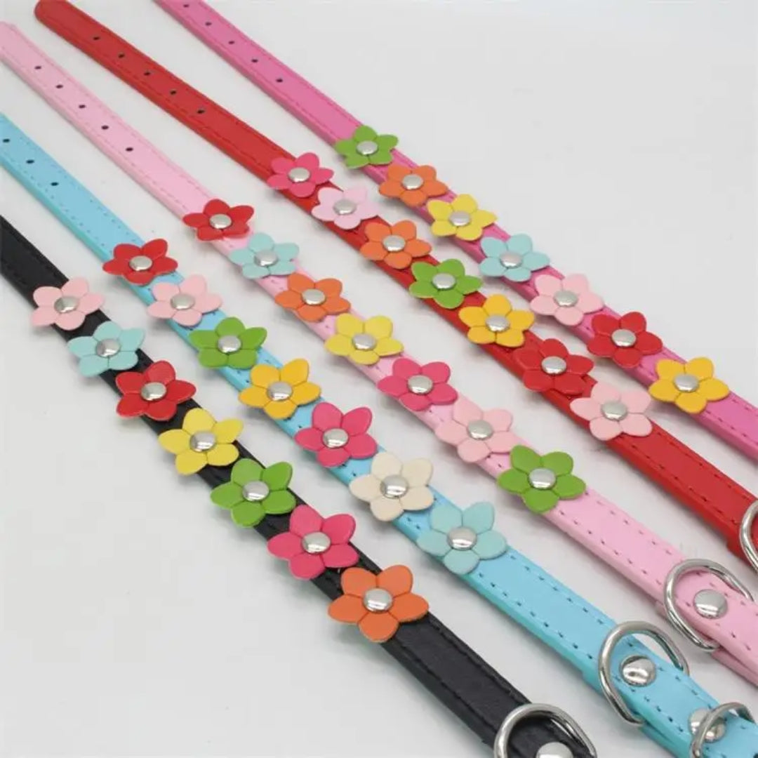 Angie | Stilvolles und sicheres Halsband für Hunde und Katzen