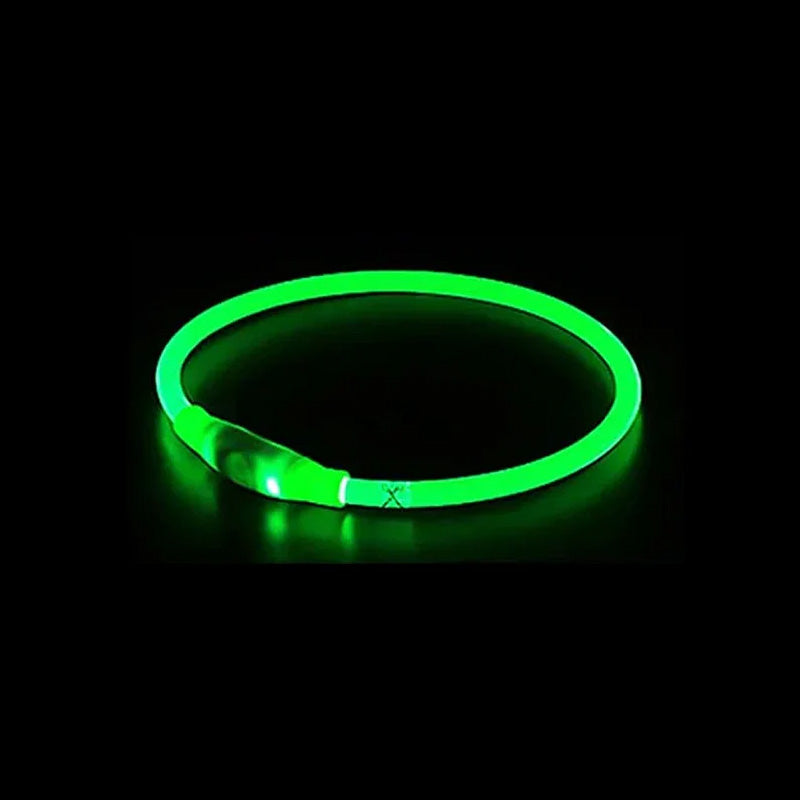 Leopold LED-Hundehalsband in Farben