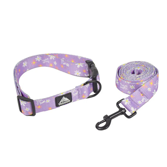 Agnes Hundehalsband und Leine