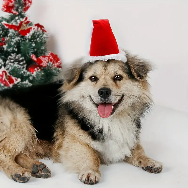 Emmi Weihnachtsmütze für Hunde