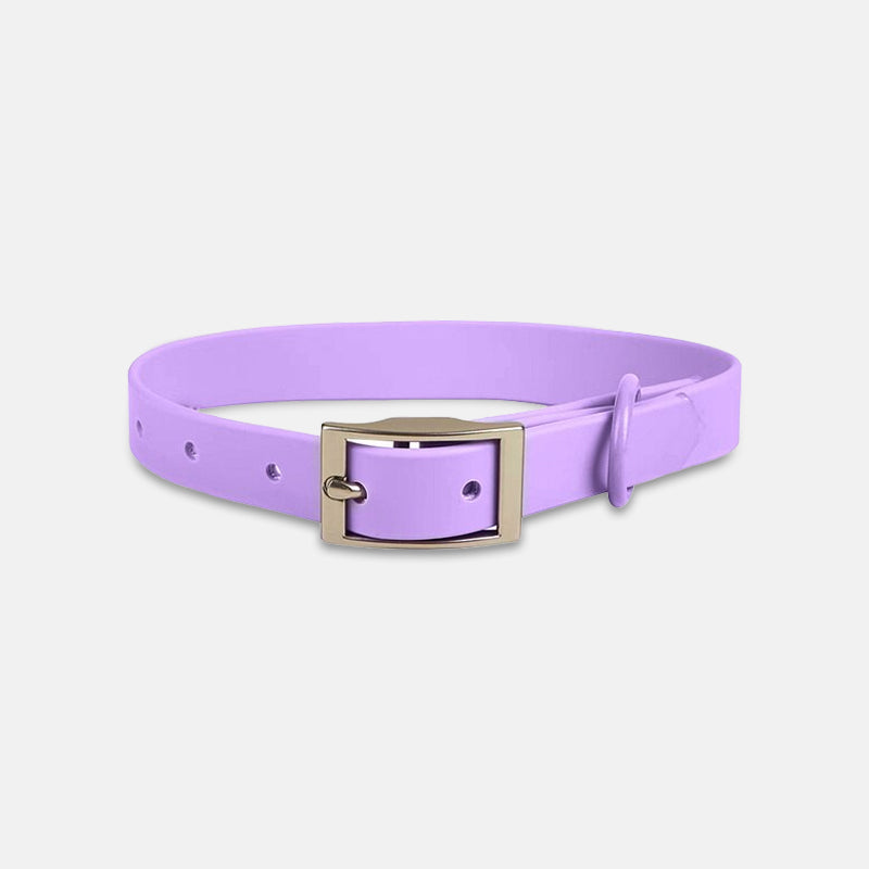 Karsten Nylon-Hundehalsband mit Zinkschnalle
