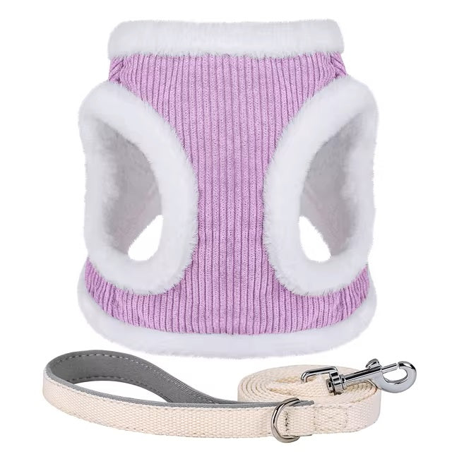 Susi | Erhalte einen Gürtel kostenlos im Wert von 14,95 € dazu