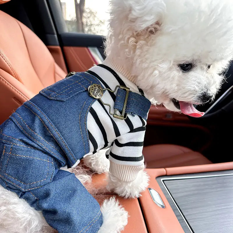Dina Denim-Hundejacke