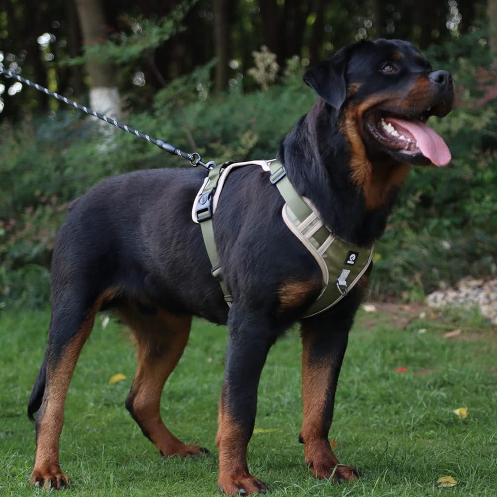 Carl Atmungsaktives Hundegeschirr Kaufen