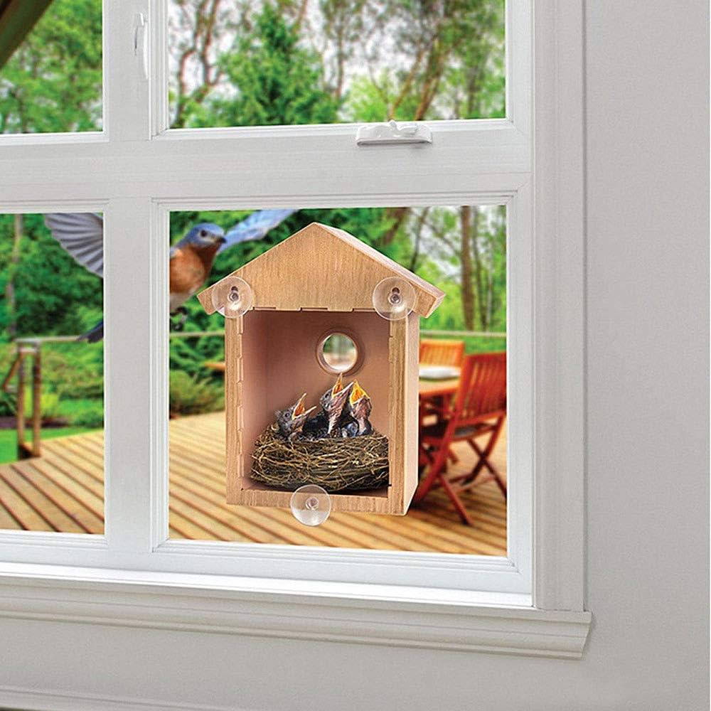 Jonny | Fenster Vogelhaus mit Saugnäpfen für Außenfenster und klare Sicht aufs Vogelnest