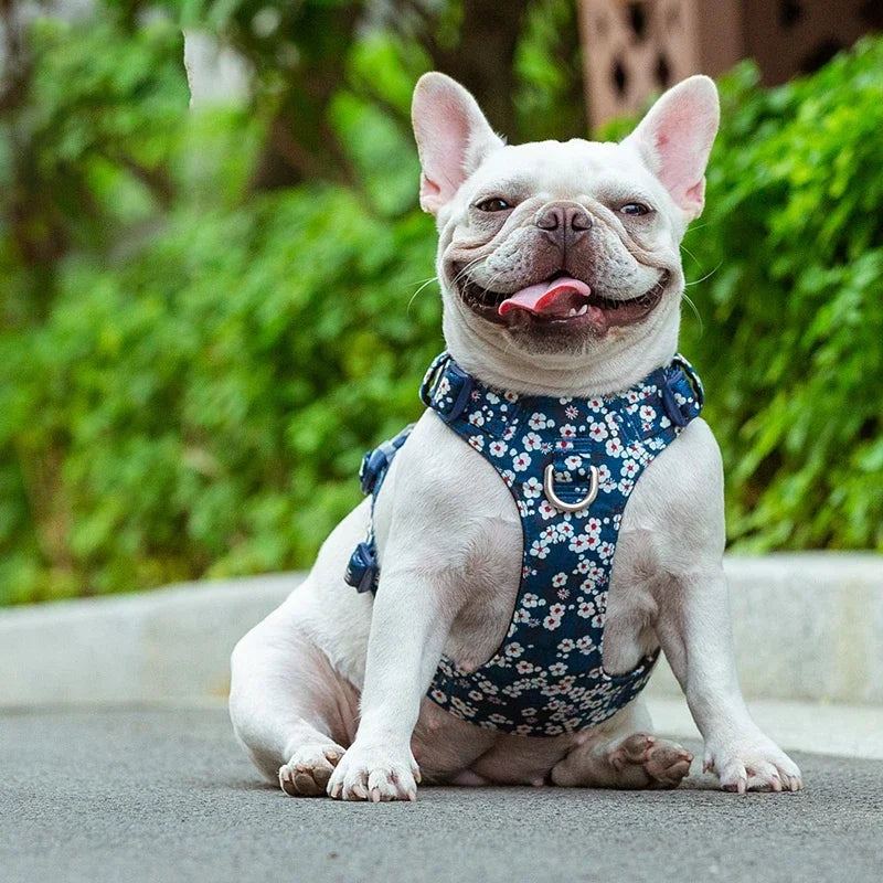 Theresa Verstellbares Hundegeschirr mit Blumenmuster