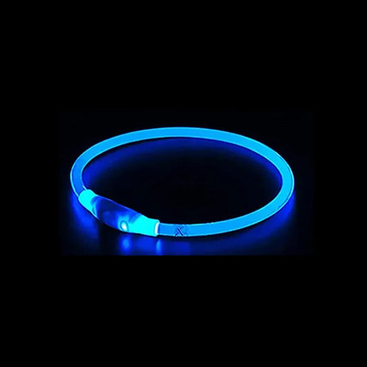 Leopold LED-Hundehalsband in Farben