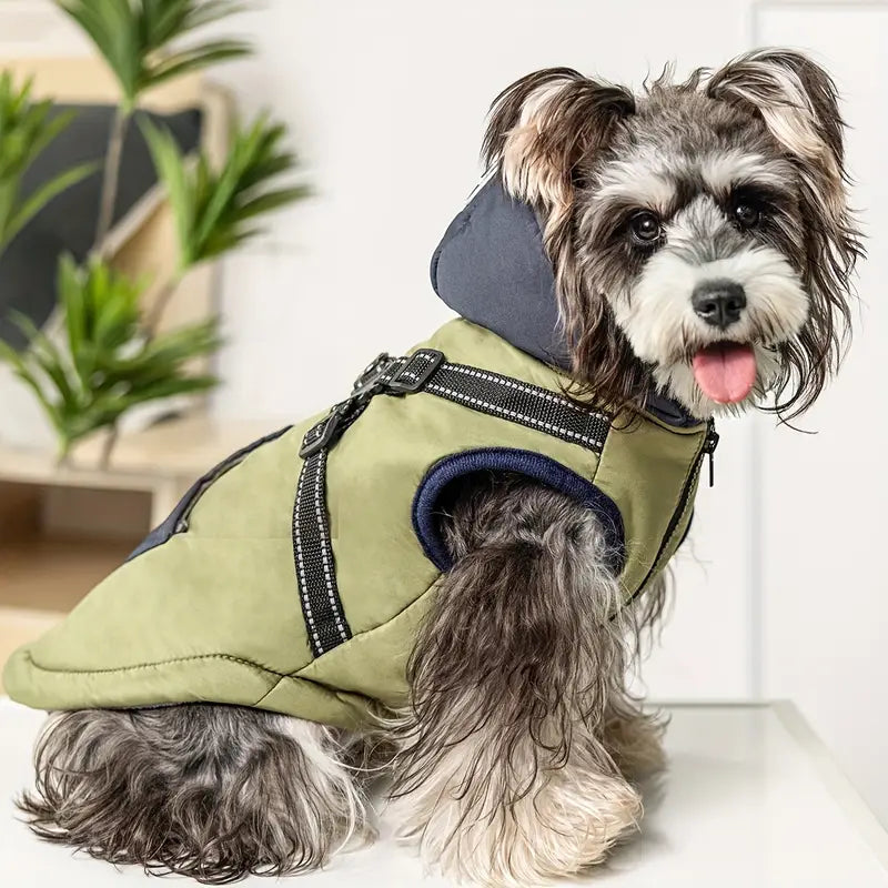 Misty Hundemantel