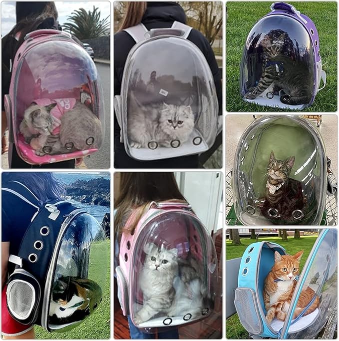 Zita Transparente Katzentragetasche für den Transport