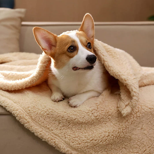 Maximilian Flauschige Fleece-Hundedecke