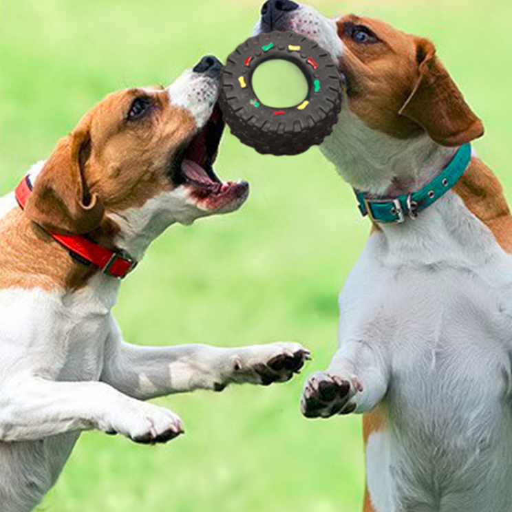 Jörg Hundespielzeug für aktives Kauen