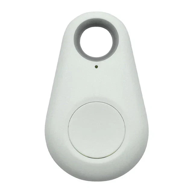 Rexi | GPS-Tracker für Haustiere mit Echtzeit-Ortung und Benachrichtigungen