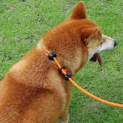 Archie Verstellbare reflektierende Leine für Hunde